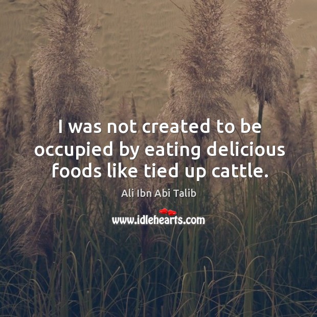 I was not created to be occupied by eating delicious foods like tied up cattle. Ali Ibn Abi Talib Picture Quote