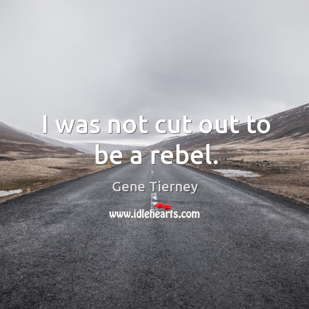 I was not cut out to be a rebel. Image