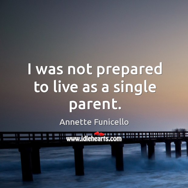 I was not prepared to live as a single parent. Annette Funicello Picture Quote