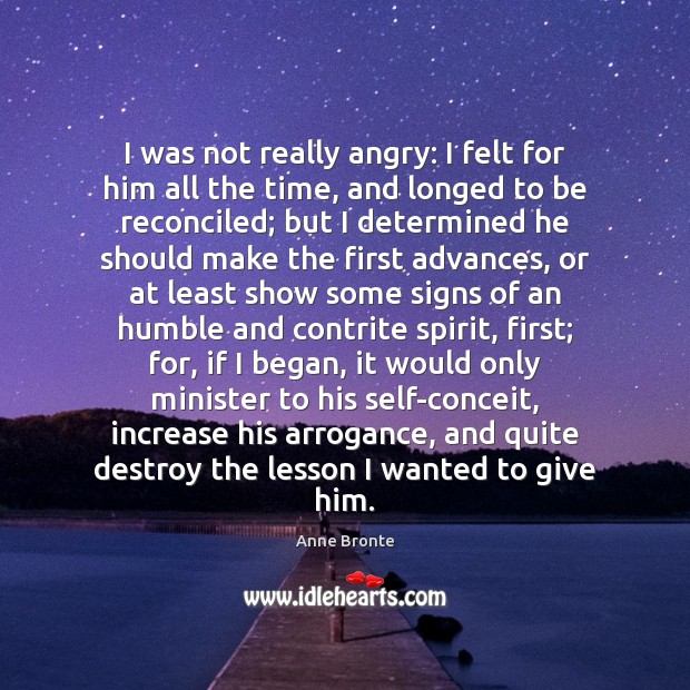 I was not really angry: I felt for him all the time, Anne Bronte Picture Quote