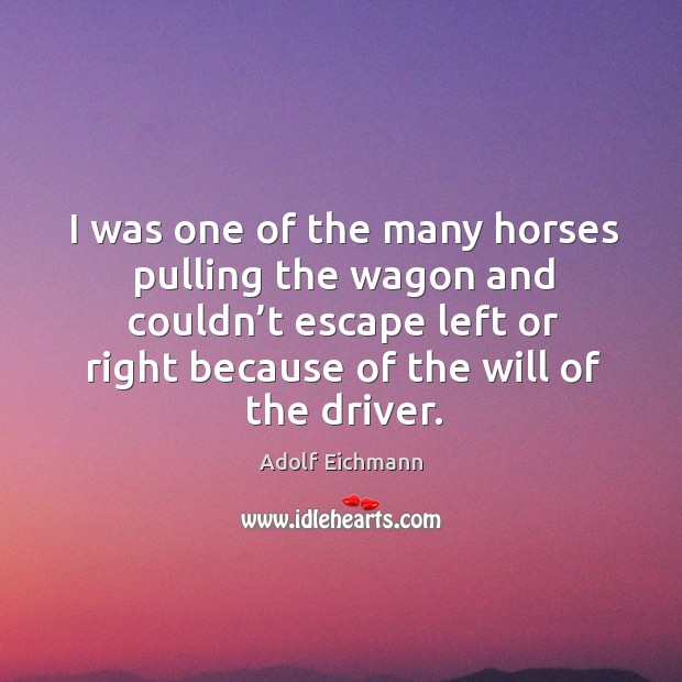 I was one of the many horses pulling the wagon and couldn’t escape left or right because Image