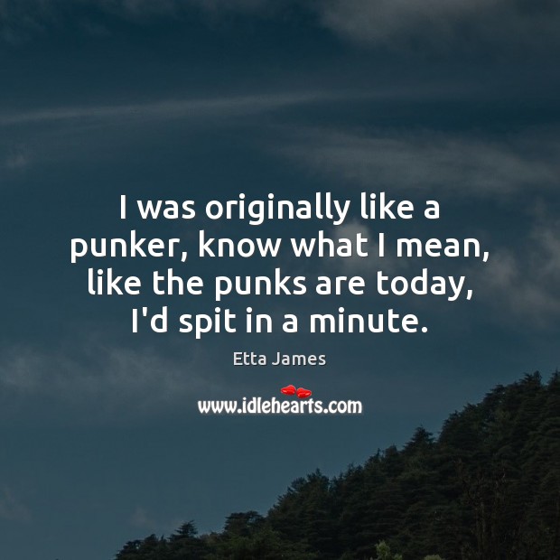 I was originally like a punker, know what I mean, like the Etta James Picture Quote