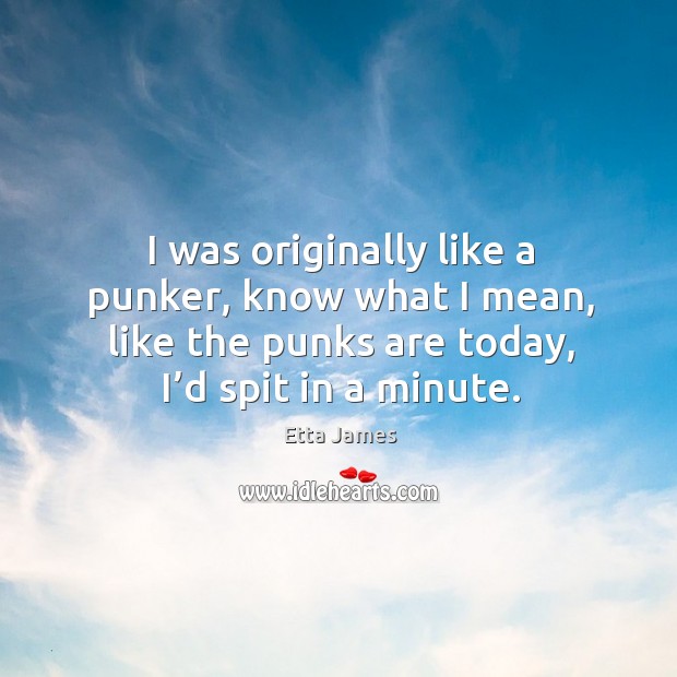 I was originally like a punker, know what I mean, like the punks are today, I’d spit in a minute. Etta James Picture Quote