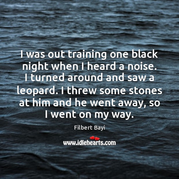 I was out training one black night when I heard a noise. Filbert Bayi Picture Quote
