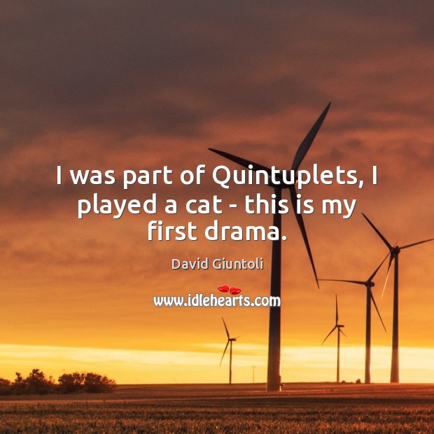 I was part of Quintuplets, I played a cat – this is my first drama. David Giuntoli Picture Quote