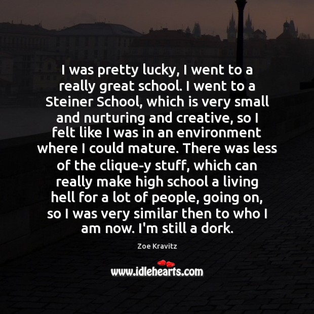 I was pretty lucky, I went to a really great school. I Zoe Kravitz Picture Quote