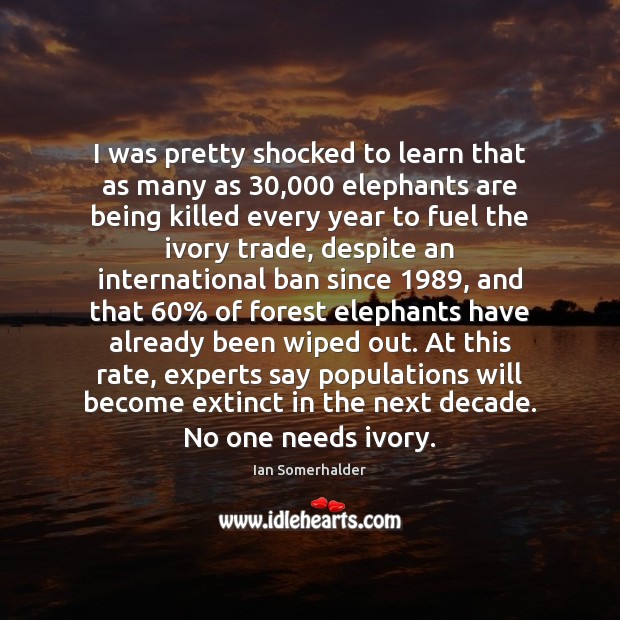 I was pretty shocked to learn that as many as 30,000 elephants are Ian Somerhalder Picture Quote