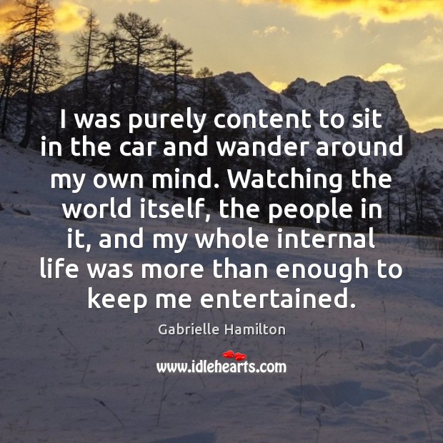 I was purely content to sit in the car and wander around Gabrielle Hamilton Picture Quote