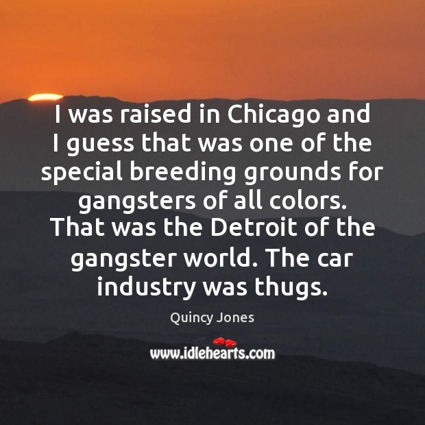 I was raised in Chicago and I guess that was one of Quincy Jones Picture Quote