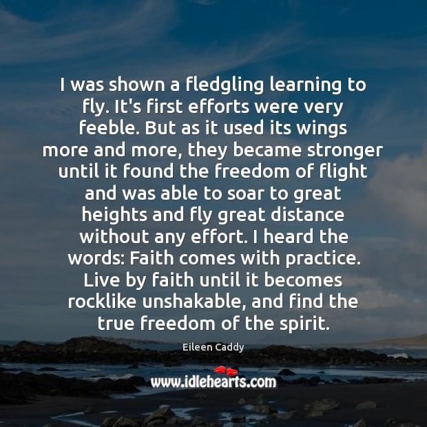 I was shown a fledgling learning to fly. It’s first efforts were Eileen Caddy Picture Quote