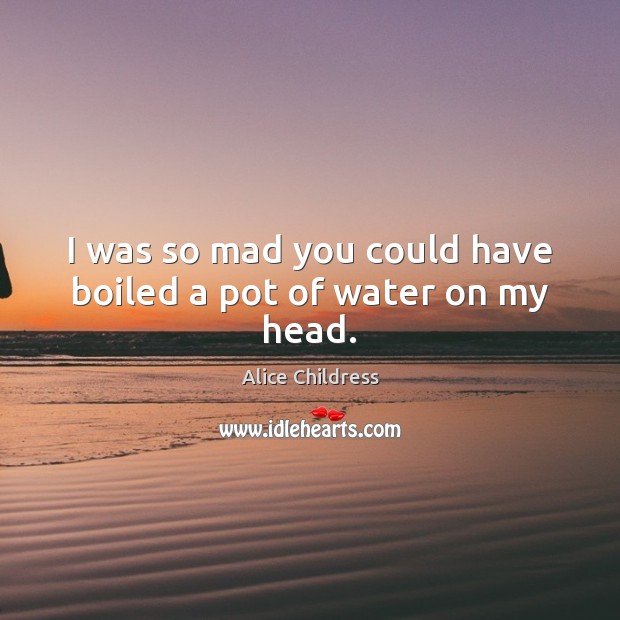I was so mad you could have boiled a pot of water on my head. Alice Childress Picture Quote