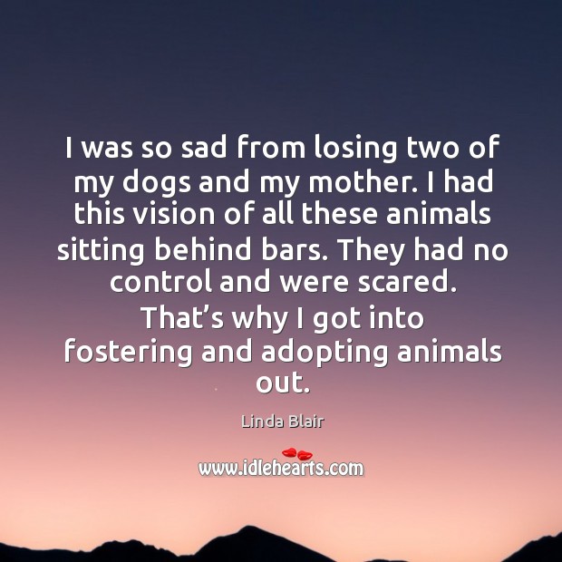 I was so sad from losing two of my dogs and my mother. I had this vision of all these 