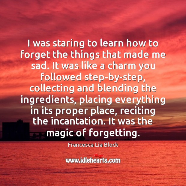 I was staring to learn how to forget the things that made Francesca Lia Block Picture Quote