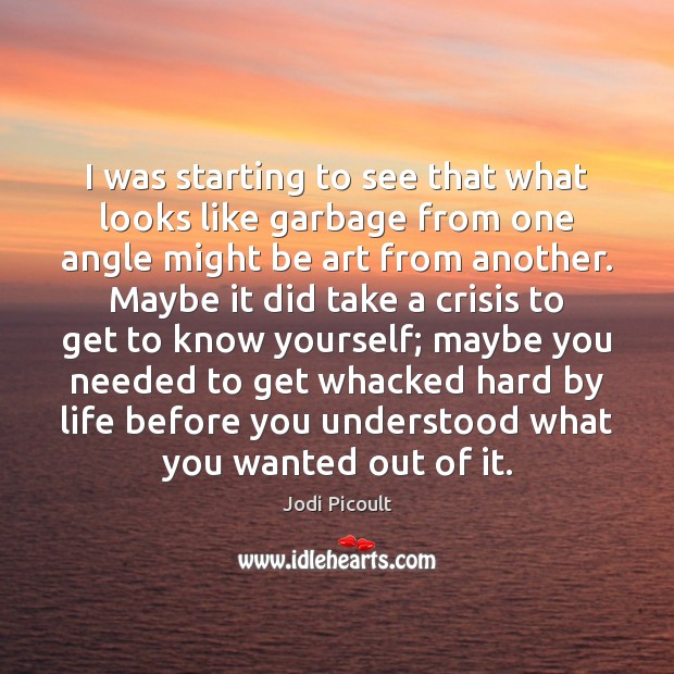 I was starting to see that what looks like garbage from one Jodi Picoult Picture Quote