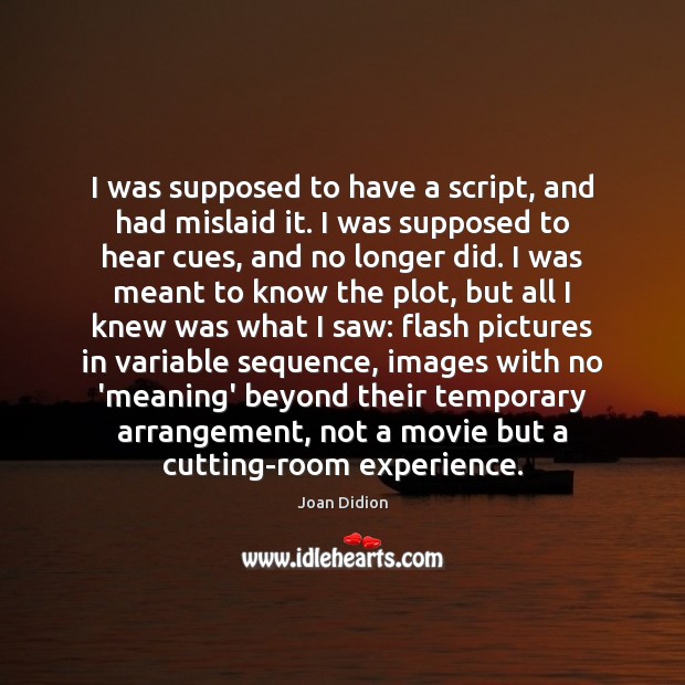 I was supposed to have a script, and had mislaid it. I Joan Didion Picture Quote