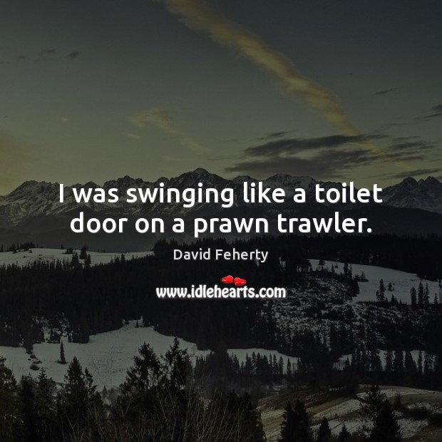 I was swinging like a toilet door on a prawn trawler. David Feherty Picture Quote