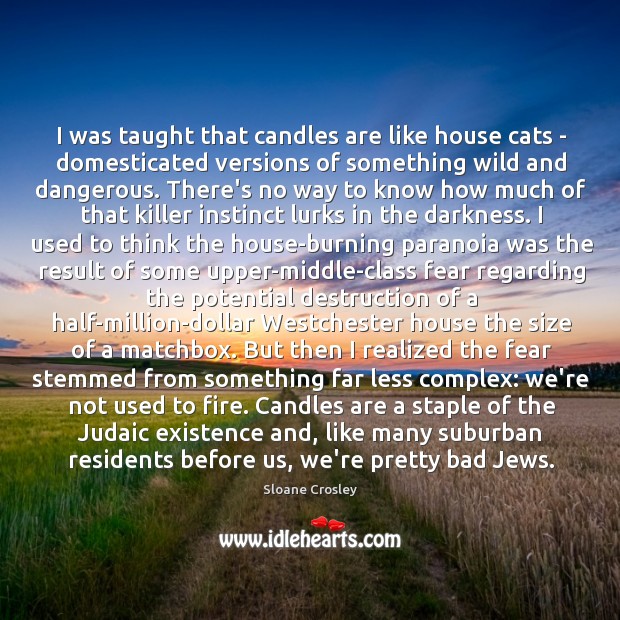 I was taught that candles are like house cats – domesticated versions Sloane Crosley Picture Quote