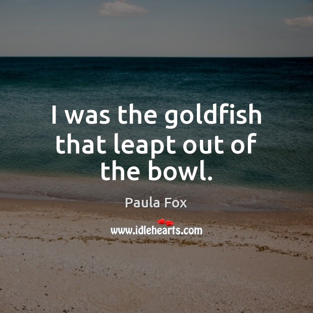 I was the goldfish that leapt out of the bowl. Image