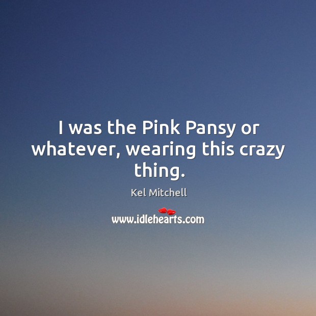 I was the pink pansy or whatever, wearing this crazy thing. Kel Mitchell Picture Quote