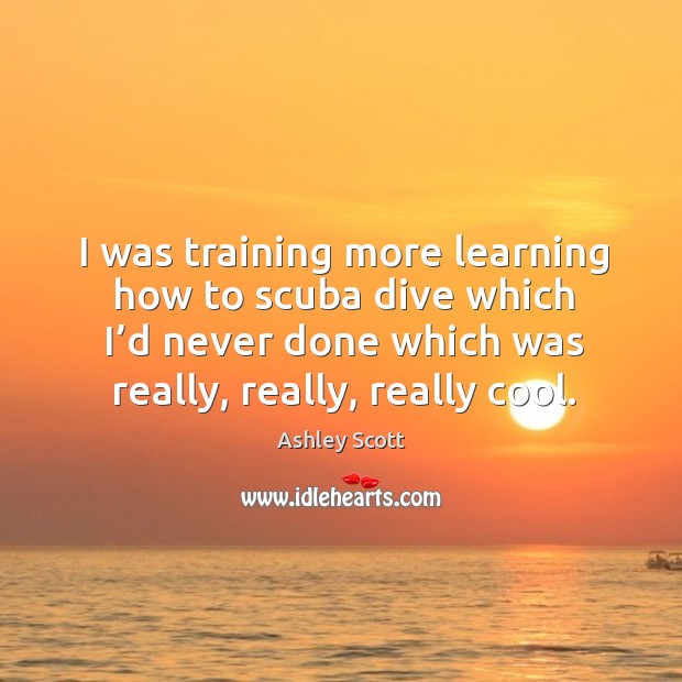 I was training more learning how to scuba dive which I’d never done which was really, really, really cool. Ashley Scott Picture Quote