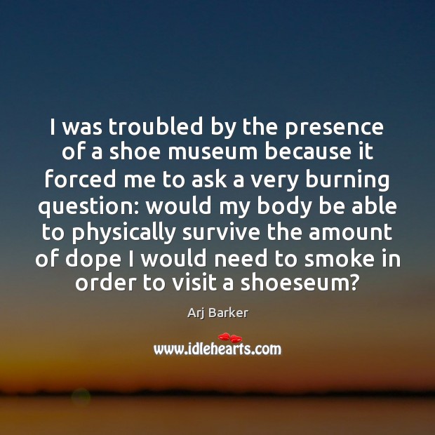 I was troubled by the presence of a shoe museum because it Image