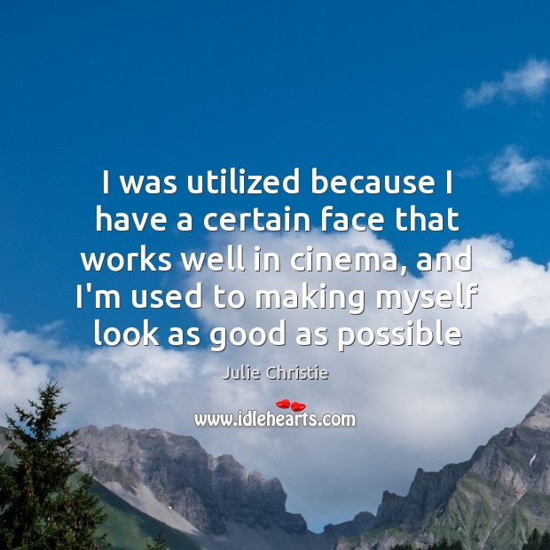 I was utilized because I have a certain face that works well Julie Christie Picture Quote