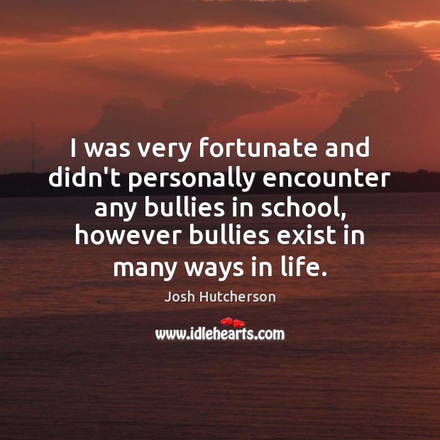 I was very fortunate and didn’t personally encounter any bullies in school, Josh Hutcherson Picture Quote