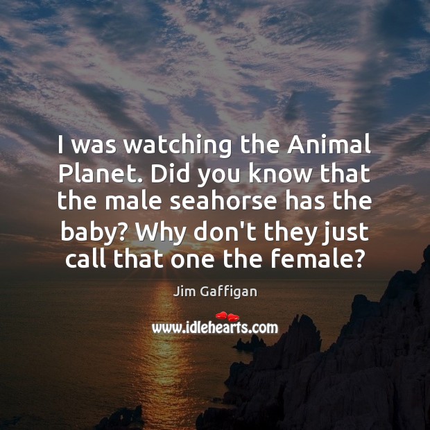 I was watching the Animal Planet. Did you know that the male Image