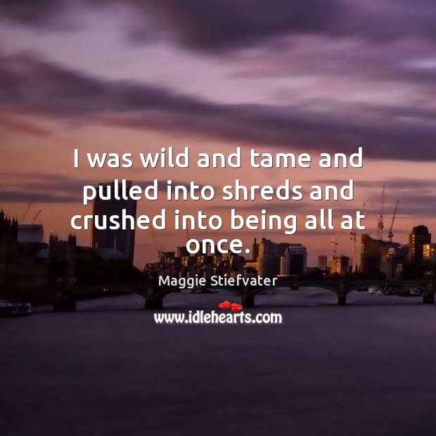I was wild and tame and pulled into shreds and crushed into being all at once. Maggie Stiefvater Picture Quote