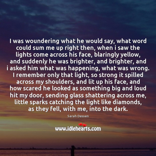 I was woundering what he would say, what word could sum me Sarah Dessen Picture Quote