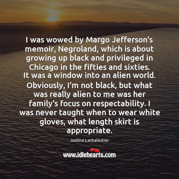 I was wowed by Margo Jefferson’s memoir, Negroland, which is about growing Image
