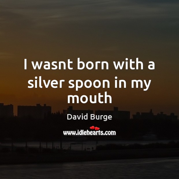 I wasnt born with a silver spoon in my mouth David Burge Picture Quote