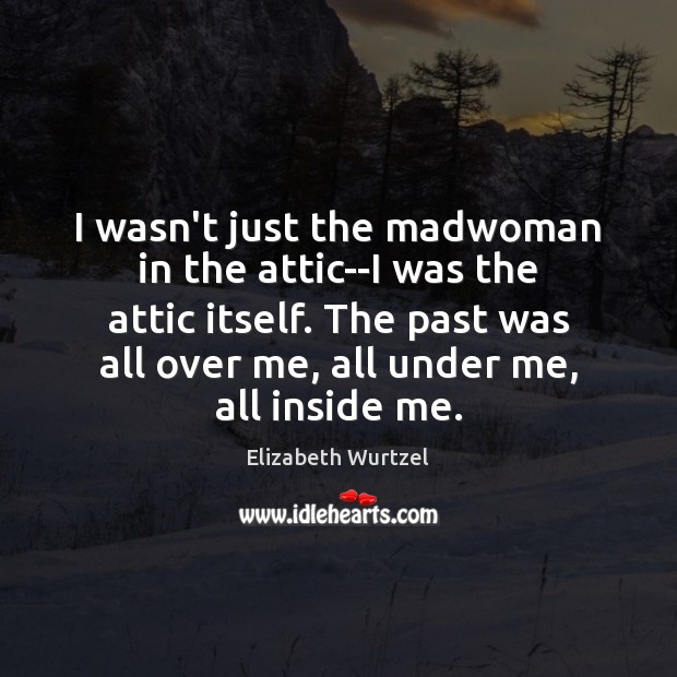 I wasn’t just the madwoman in the attic–I was the attic itself. Elizabeth Wurtzel Picture Quote