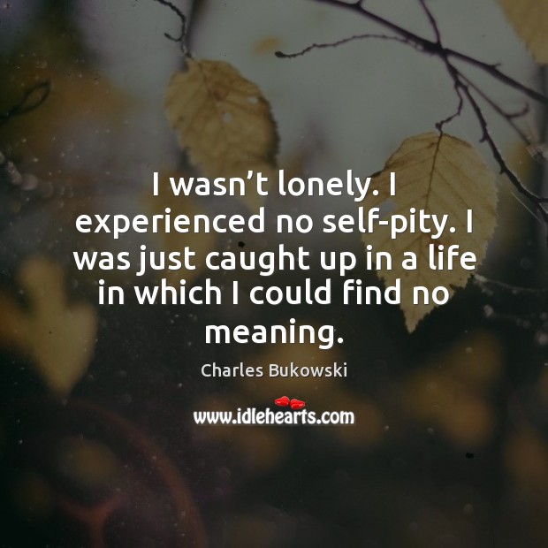 I wasn’t lonely. I experienced no self-pity. I was just caught Charles Bukowski Picture Quote