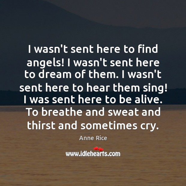 I wasn’t sent here to find angels! I wasn’t sent here to Anne Rice Picture Quote