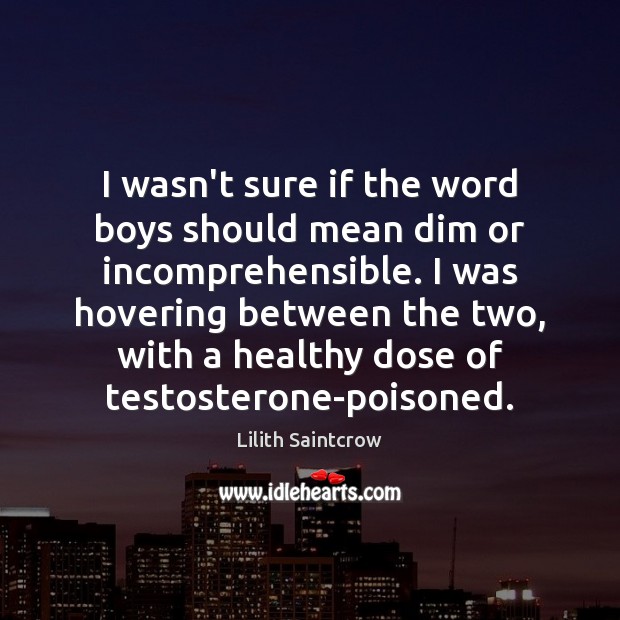 I wasn’t sure if the word boys should mean dim or incomprehensible. Lilith Saintcrow Picture Quote