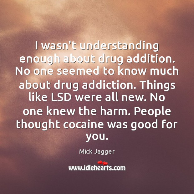 I wasn’t understanding enough about drug addition. No one seemed to know Mick Jagger Picture Quote