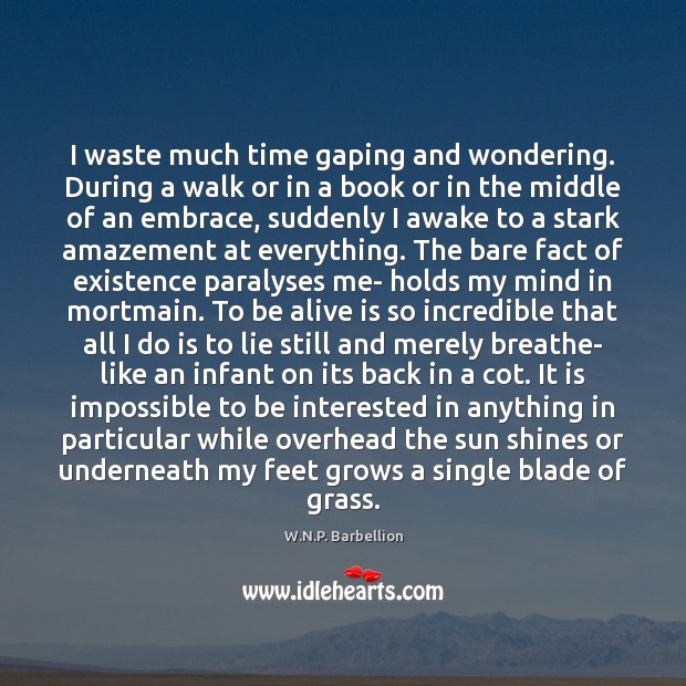 I waste much time gaping and wondering. During a walk or in W.N.P. Barbellion Picture Quote