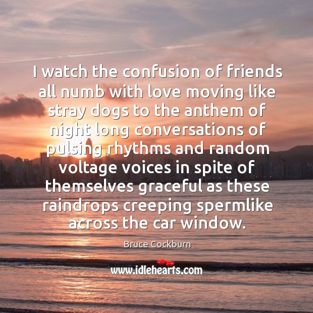 I watch the confusion of friends all numb with love moving like Bruce Cockburn Picture Quote