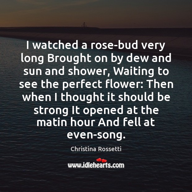 I watched a rose-bud very long Brought on by dew and sun Christina Rossetti Picture Quote