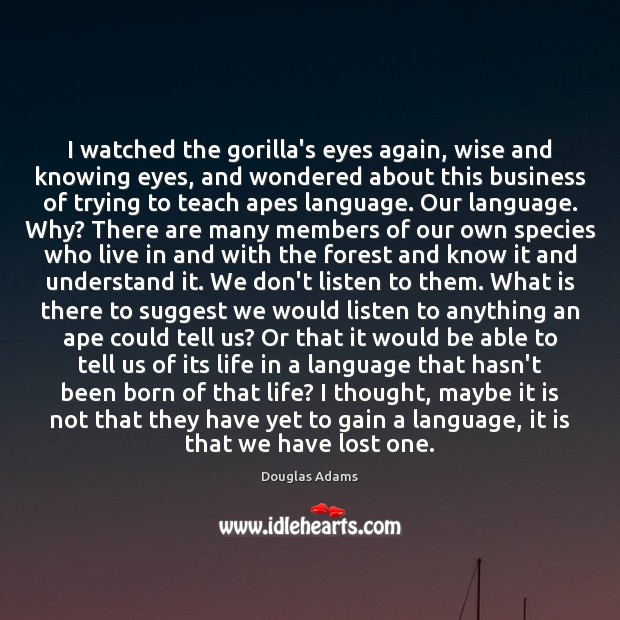 I watched the gorilla’s eyes again, wise and knowing eyes, and wondered Douglas Adams Picture Quote