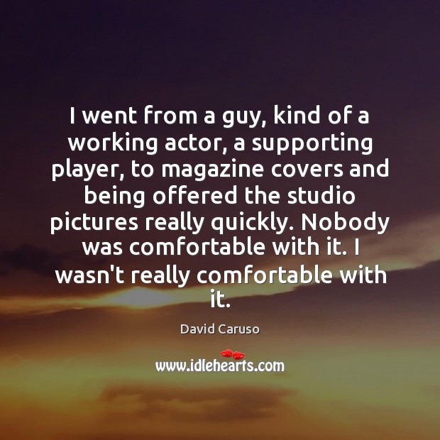 I went from a guy, kind of a working actor, a supporting David Caruso Picture Quote