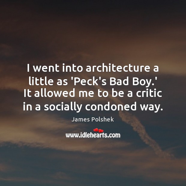 I went into architecture a little as ‘Peck’s Bad Boy.’ It James Polshek Picture Quote
