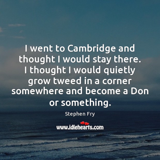 I went to Cambridge and thought I would stay there. I thought Stephen Fry Picture Quote