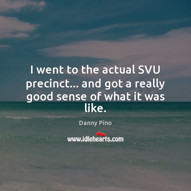I went to the actual SVU precinct… and got a really good sense of what it was like. Danny Pino Picture Quote