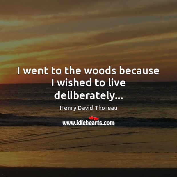 I went to the woods because I wished to live deliberately… Image