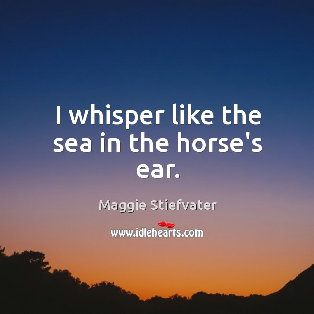 I whisper like the sea in the horse’s ear. Image