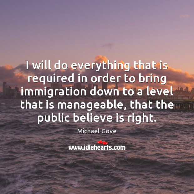 I will do everything that is required in order to bring immigration Image