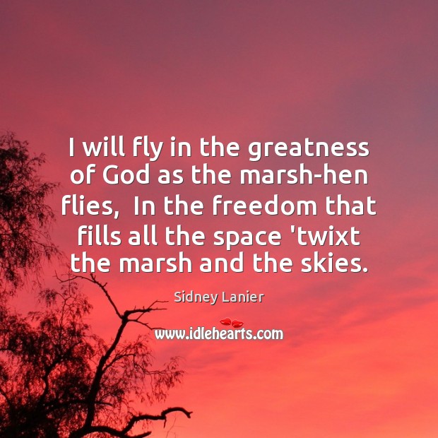 I will fly in the greatness of God as the marsh-hen flies, Sidney Lanier Picture Quote