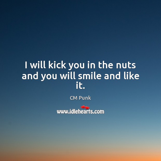 I will kick you in the nuts and you will smile and like it. CM Punk Picture Quote